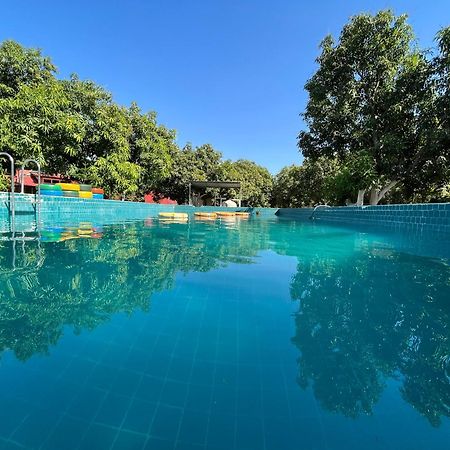 Amraness Luxury Resort Sasan Gir Εξωτερικό φωτογραφία
